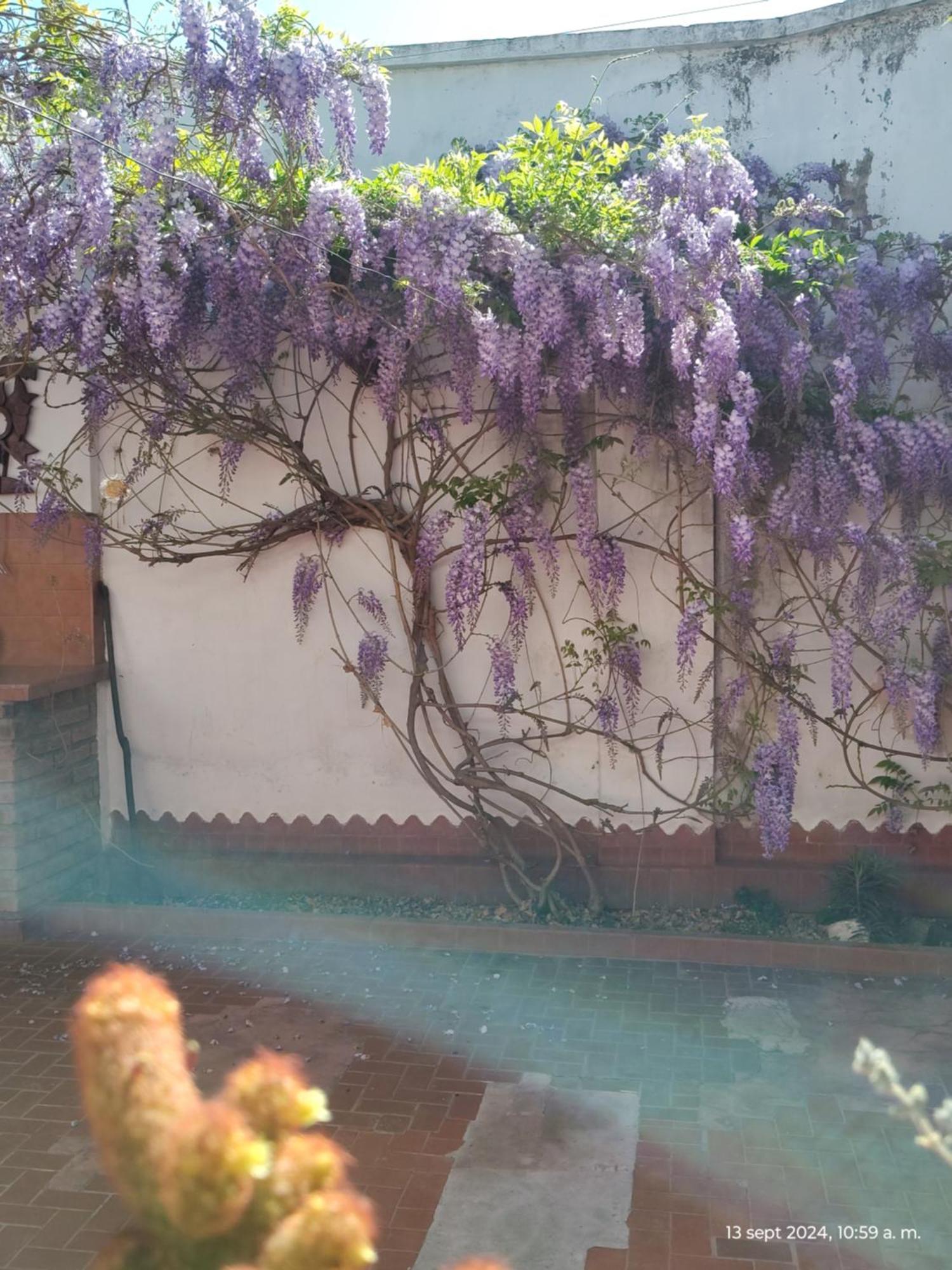 Casa Kuyay Villa San Salvador de Jujuy Eksteriør billede